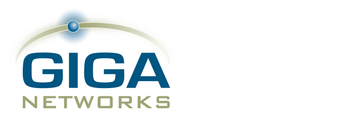 Enterprise IT/Network Security Solutions by GigaNetworks - Putting the «value» back into Value Added Reseller